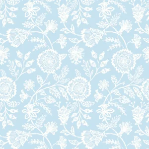 Evelyn Trail Sky Evelyn Trail Sky